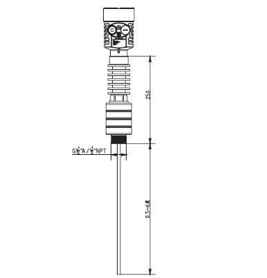 高溫導(dǎo)波雷達(dá)物位計外型尺寸圖